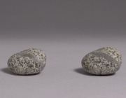 cri_105781